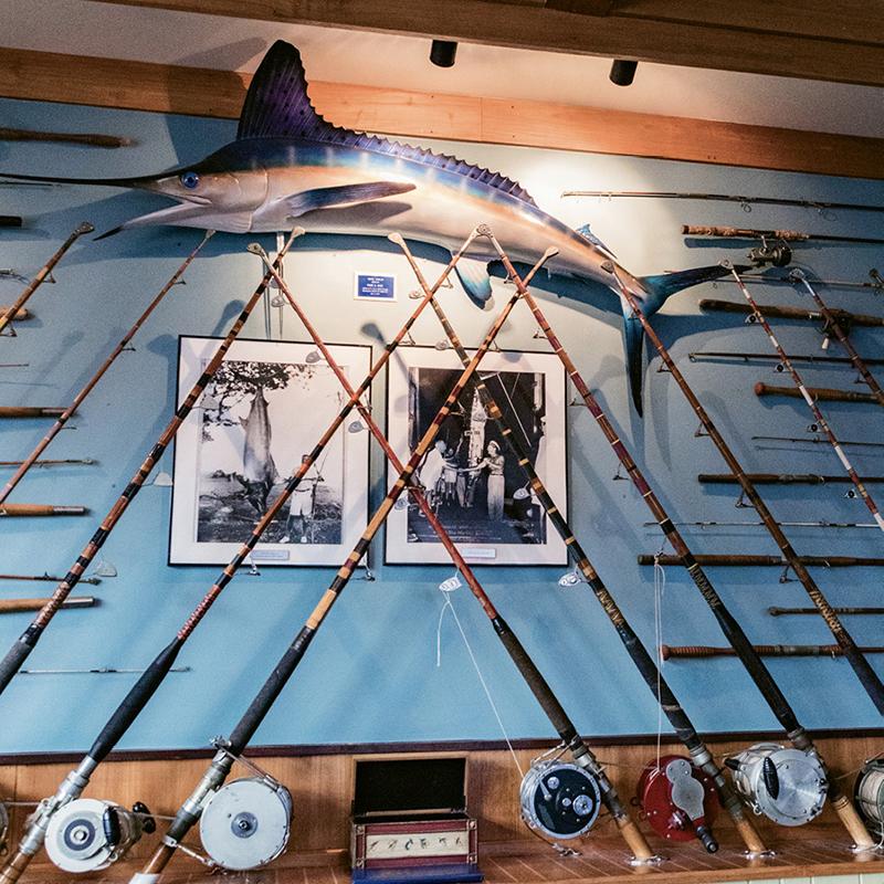 The resort’s Reel Bar boasts all manner of fishing gear, trophies, and vintage photos of “the big catch.”