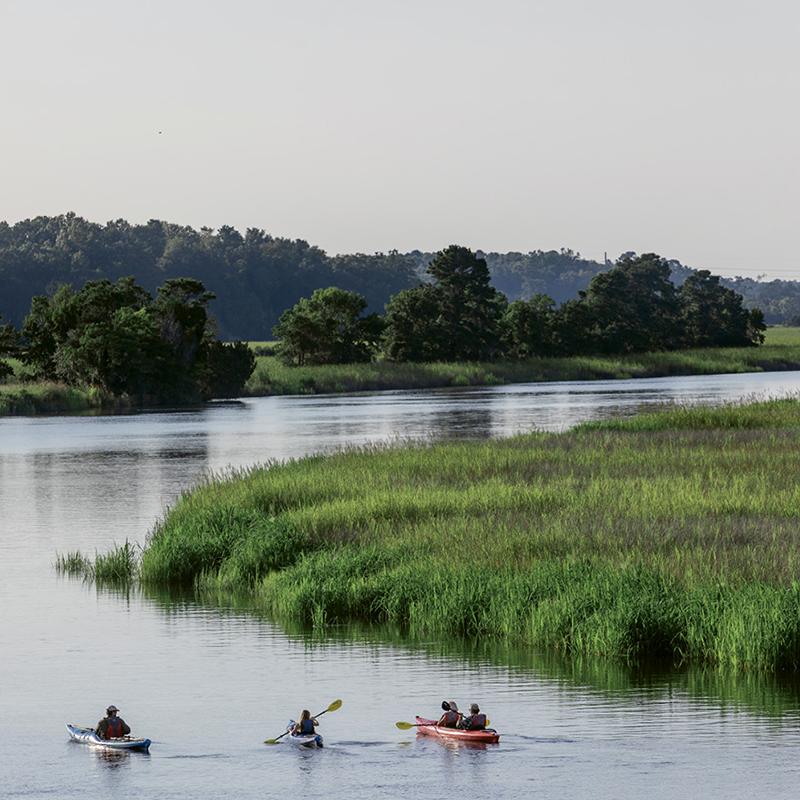 Charleston Kayak Company offers kayaks for rent to explore on your own, or take one of their guided tours, which are suited to all abilities.