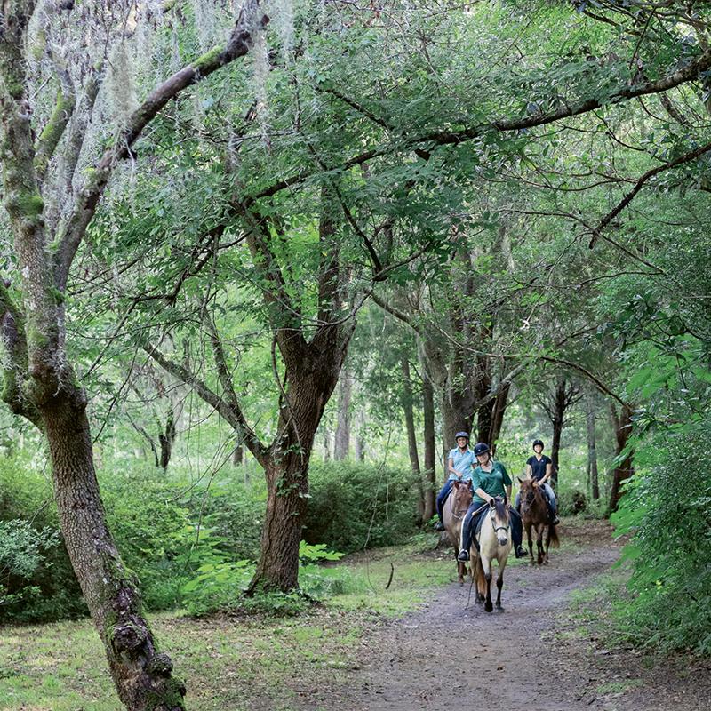 One-hour guided horseback tours are offered through the Middleton Place Equestrian Center.